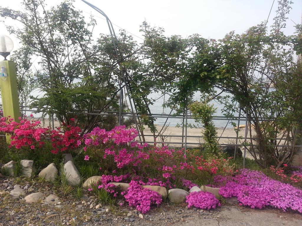 Yongdu Beach Pension Boryeong Eksteriør bilde